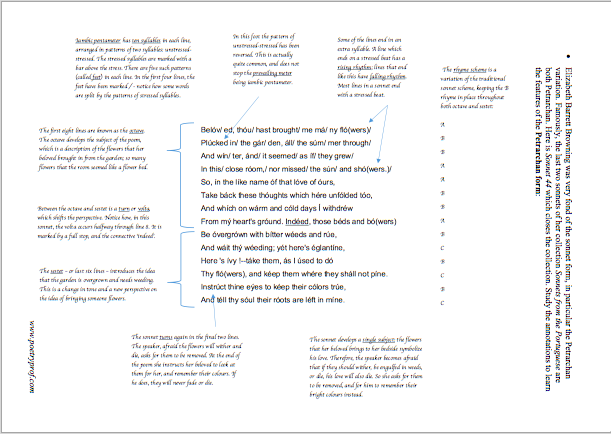 Sonnet 43 Poetry Prof