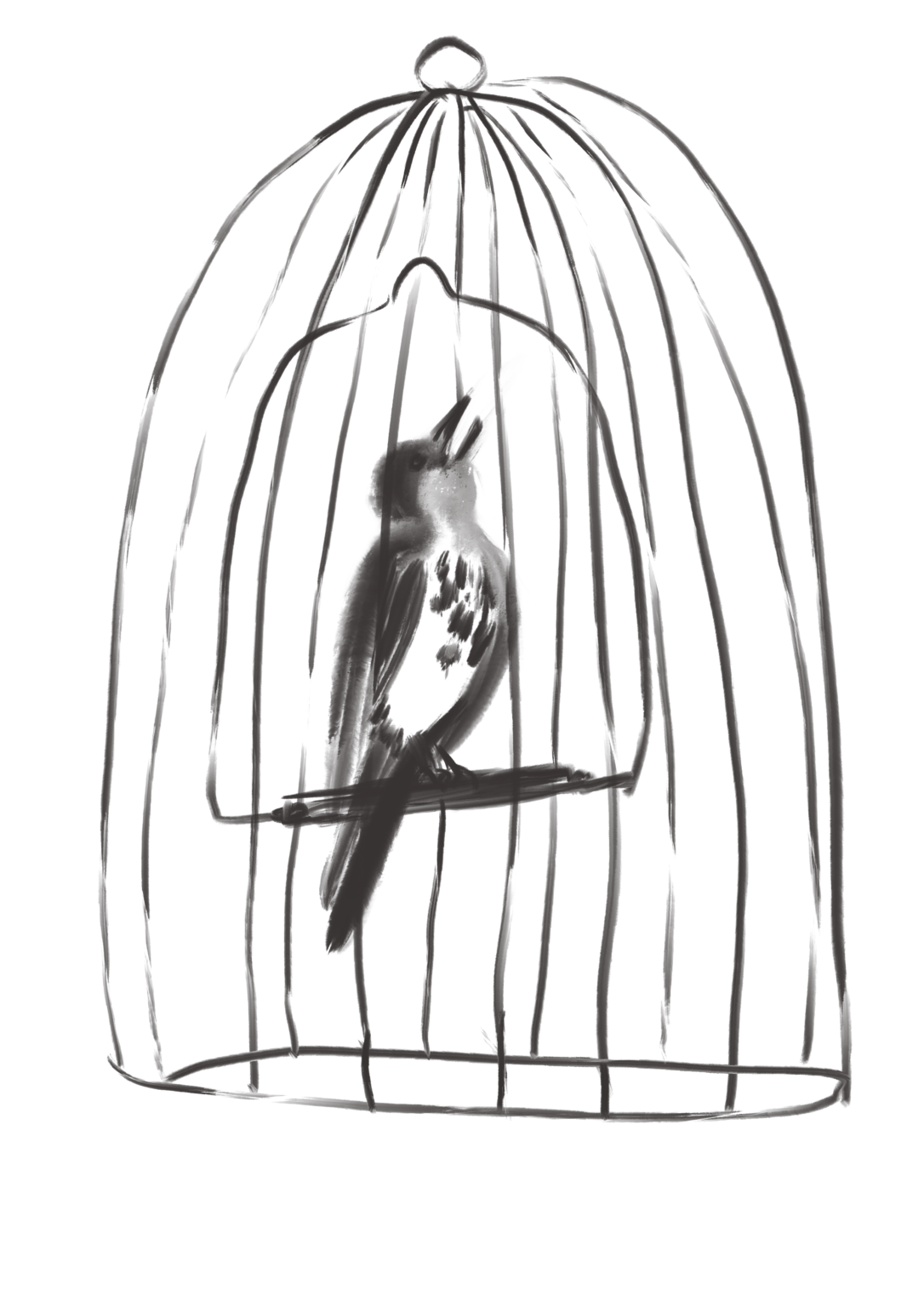 caged-bird-poetry-prof