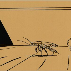 The Cockroach Study Bundle