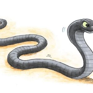 Hunting Snake Study Bundle